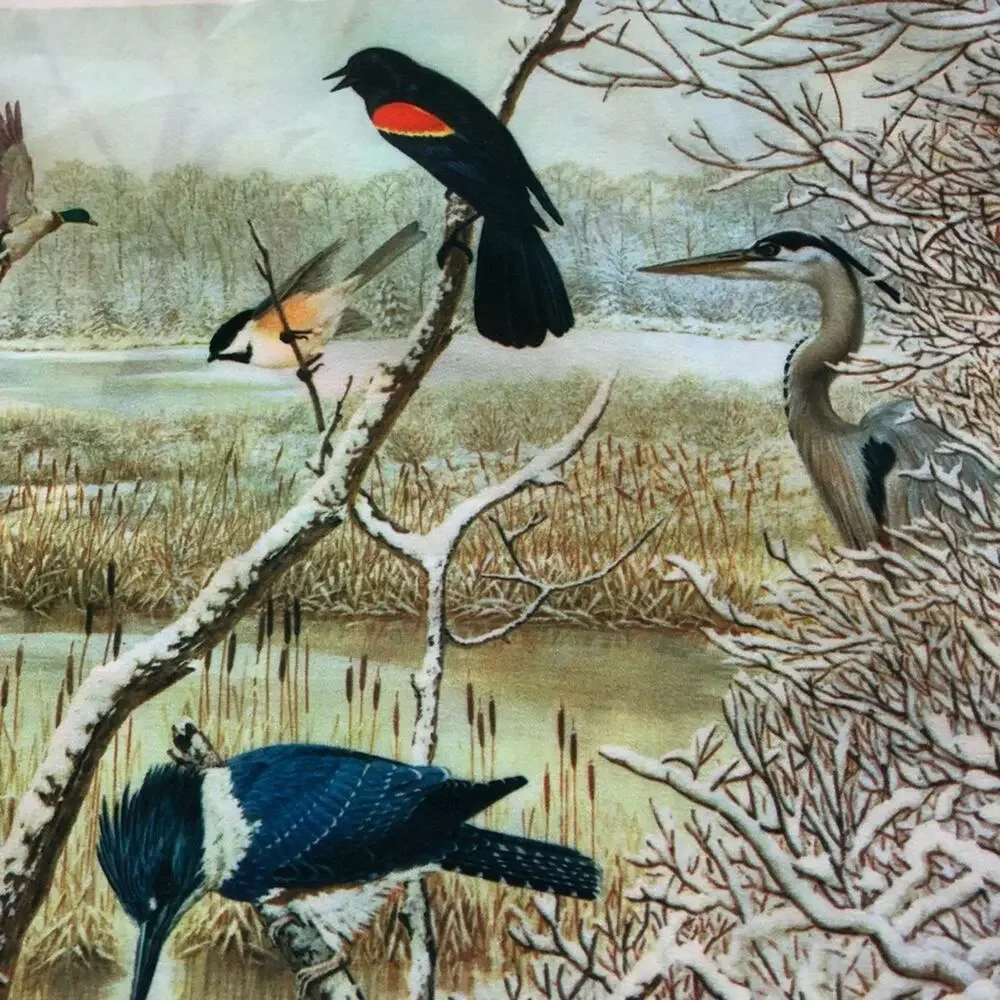 Vintage 1979 national wildlife federation bird scarf 12”x42” cardinal ducks art